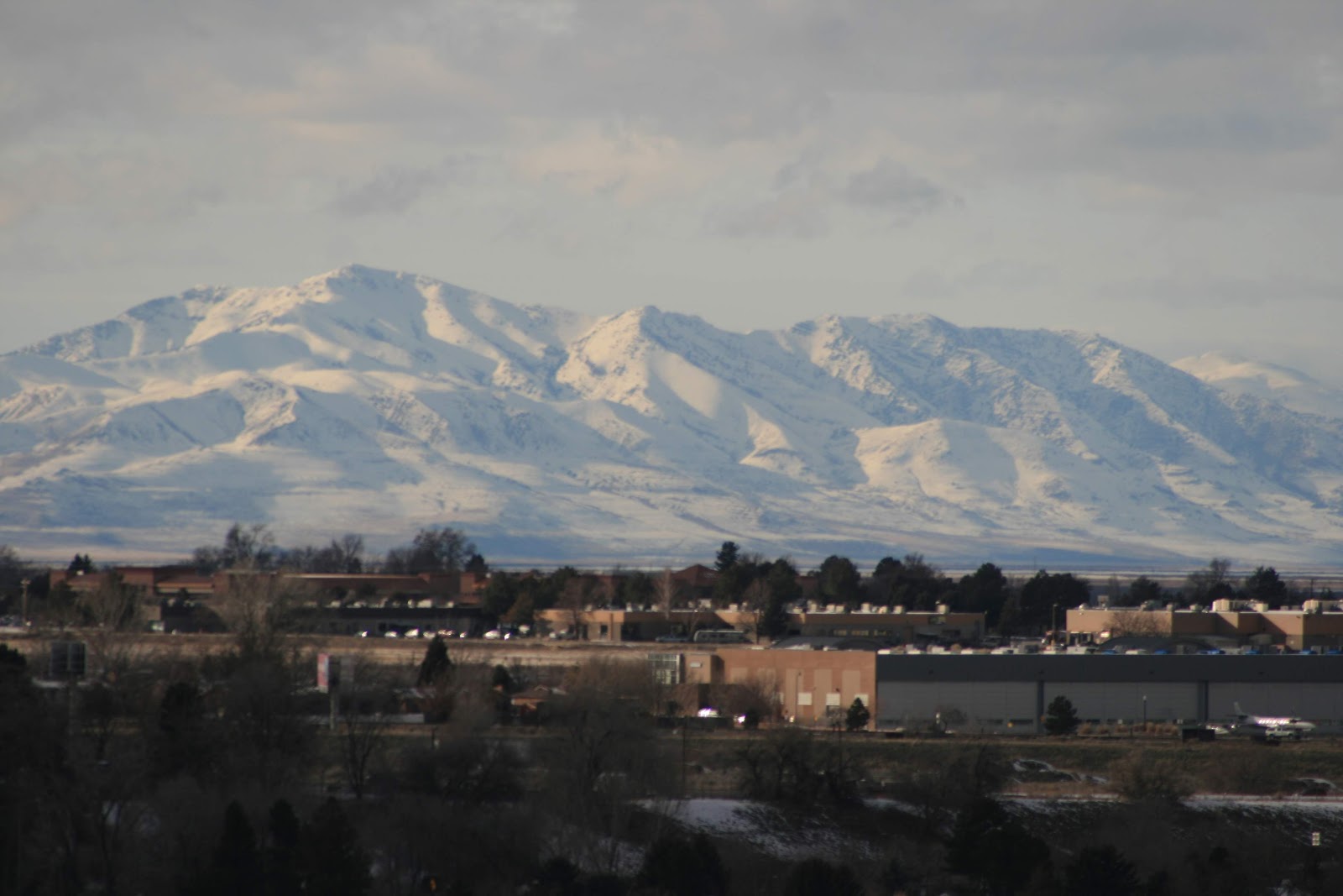 Rohmer Park, photo by Dan Harding