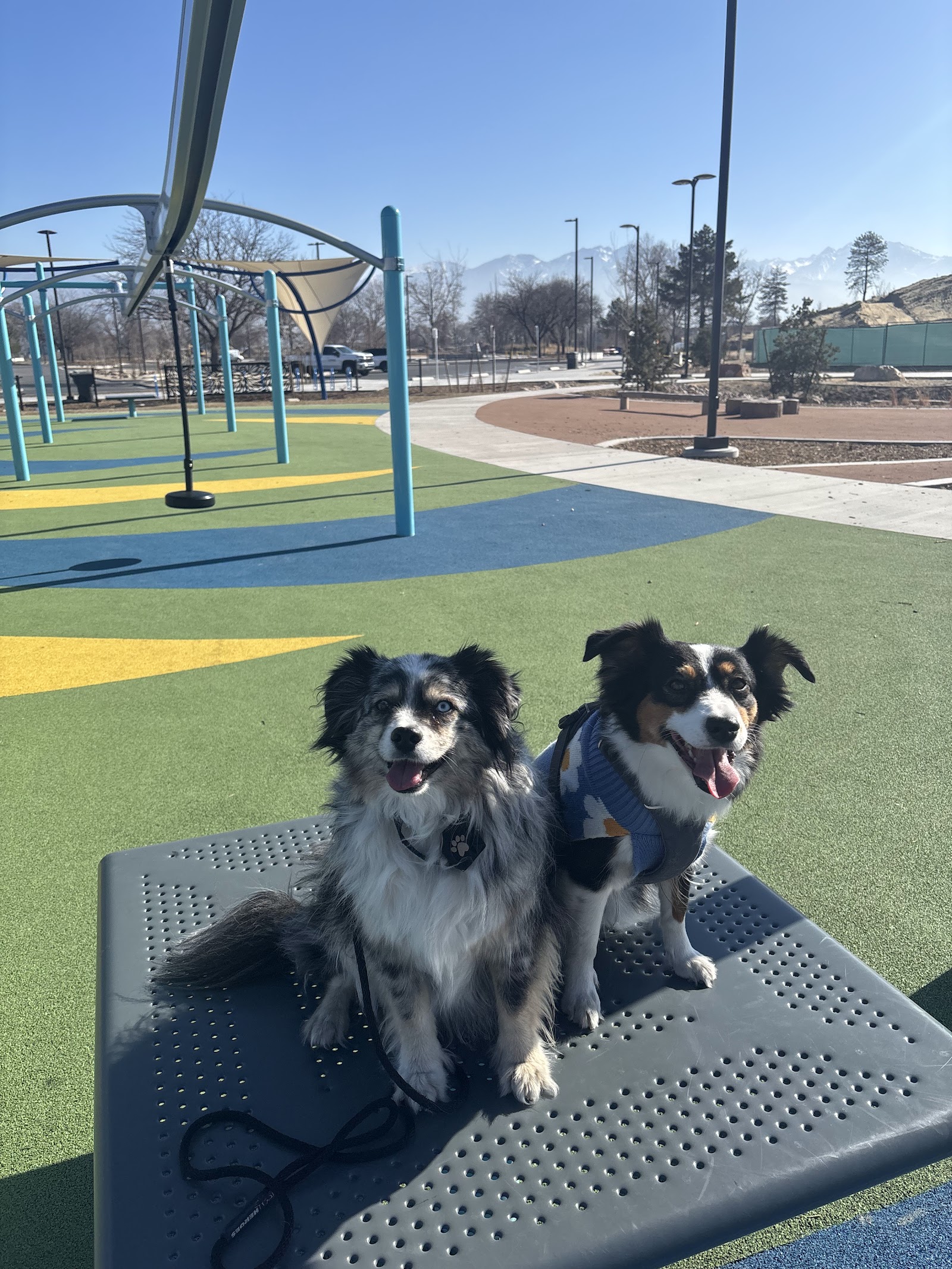 Glendale Regional Park, photo by Sarah (Dogs in Translation)