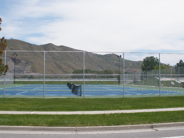 Rosewood Park Pickleball courts, photo by David Beecher