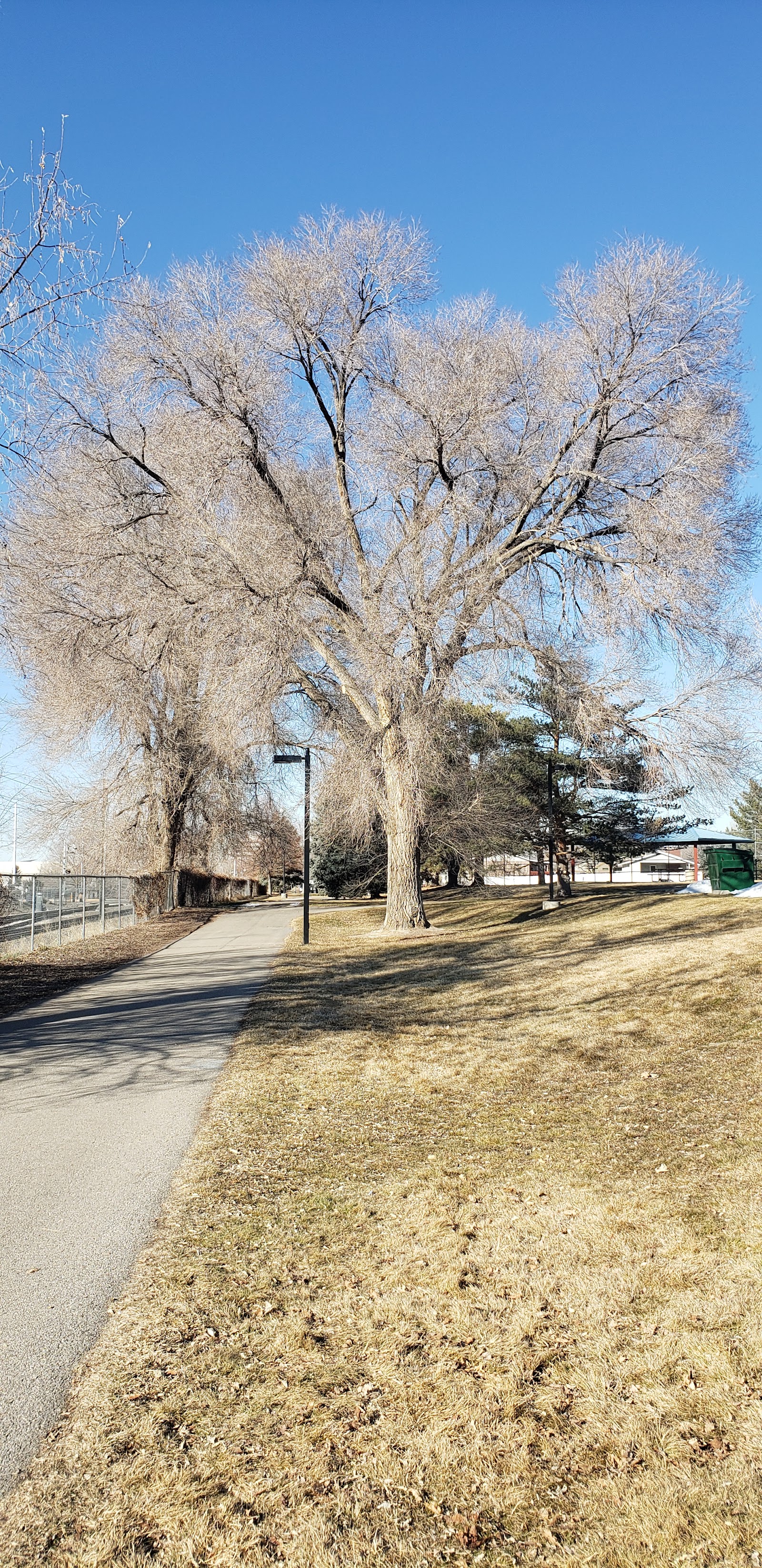 Dewey Bluth Park, photo by Marcus Cunha