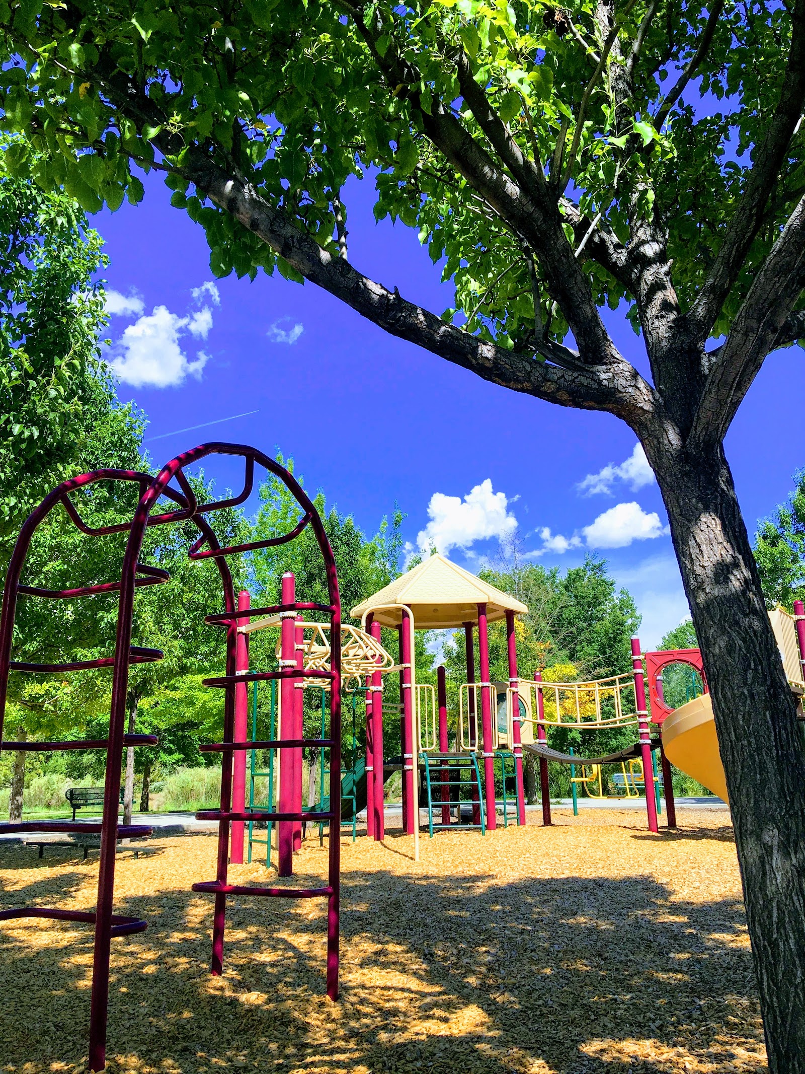 Mill Race Park, photo by Maricarmen Hernandez