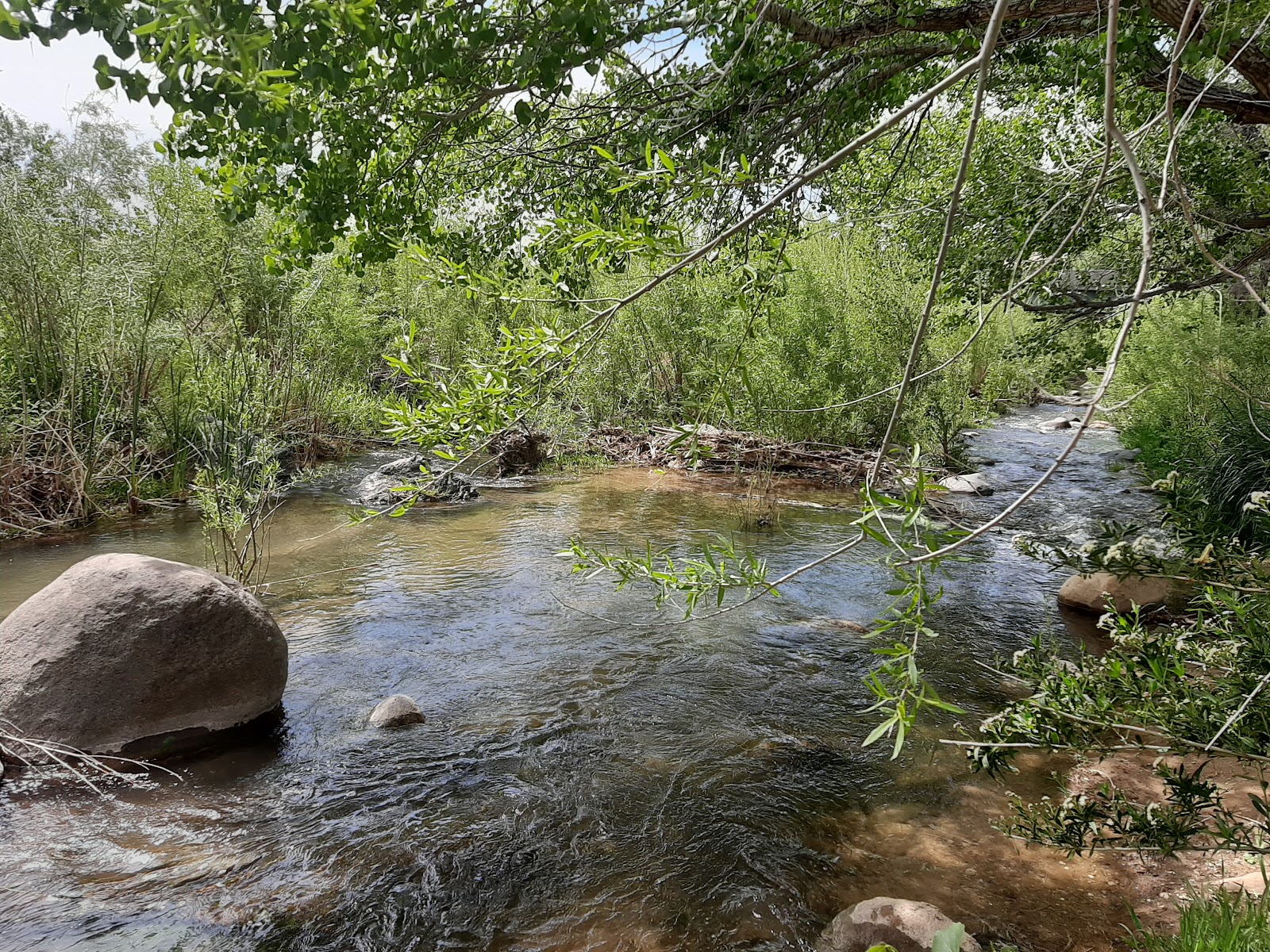 Toquerville Park, photo by Linda Hoernke