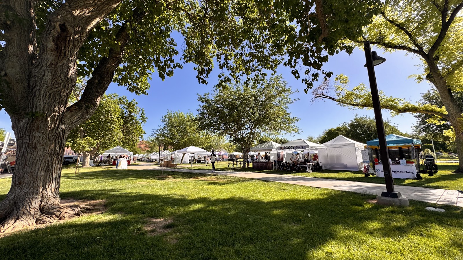 Vernon Worthen Park, photo by Slow Horse