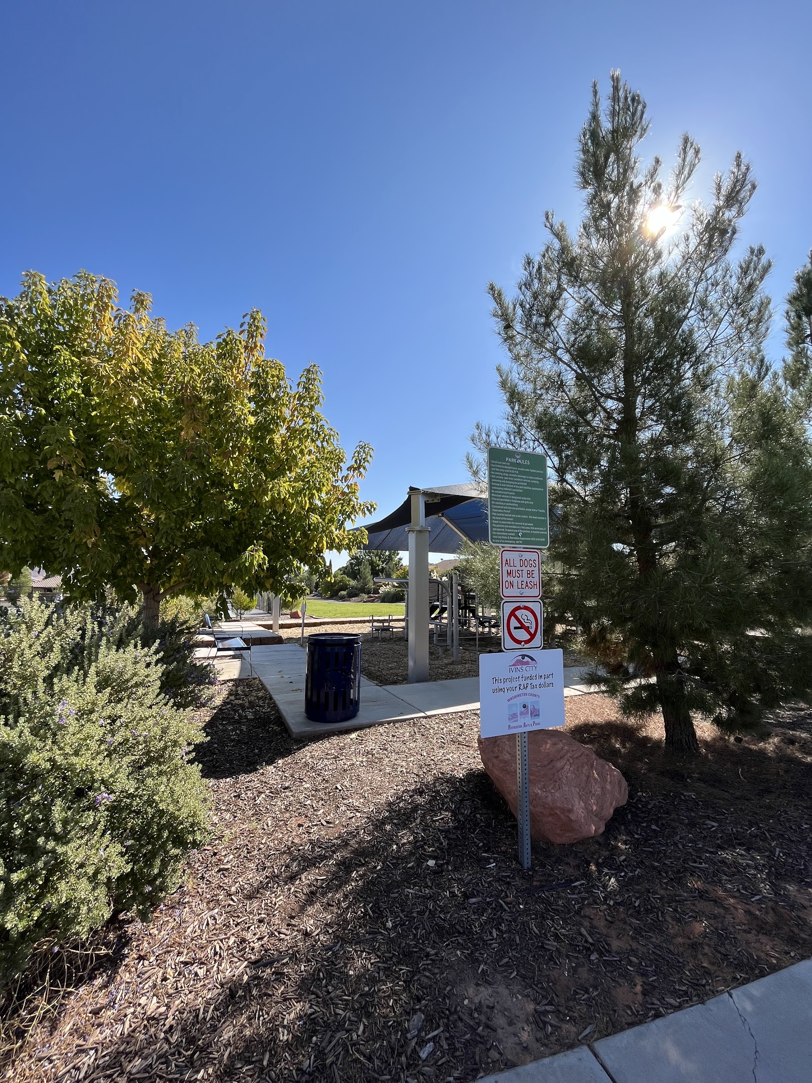 Desert Rose Park, photo by Rebecca Gaster