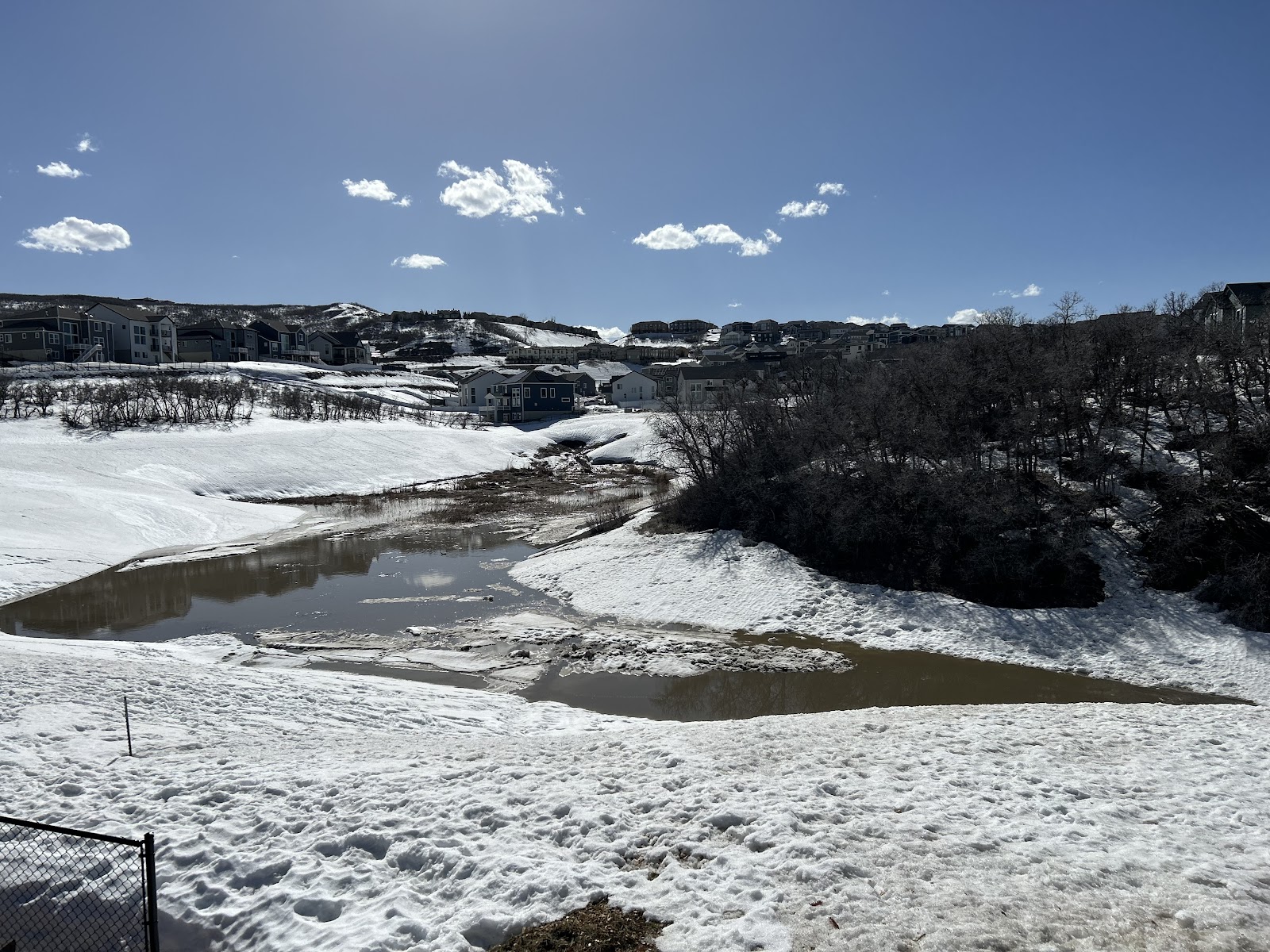 Suncrest Park, photo by Chase Cameron