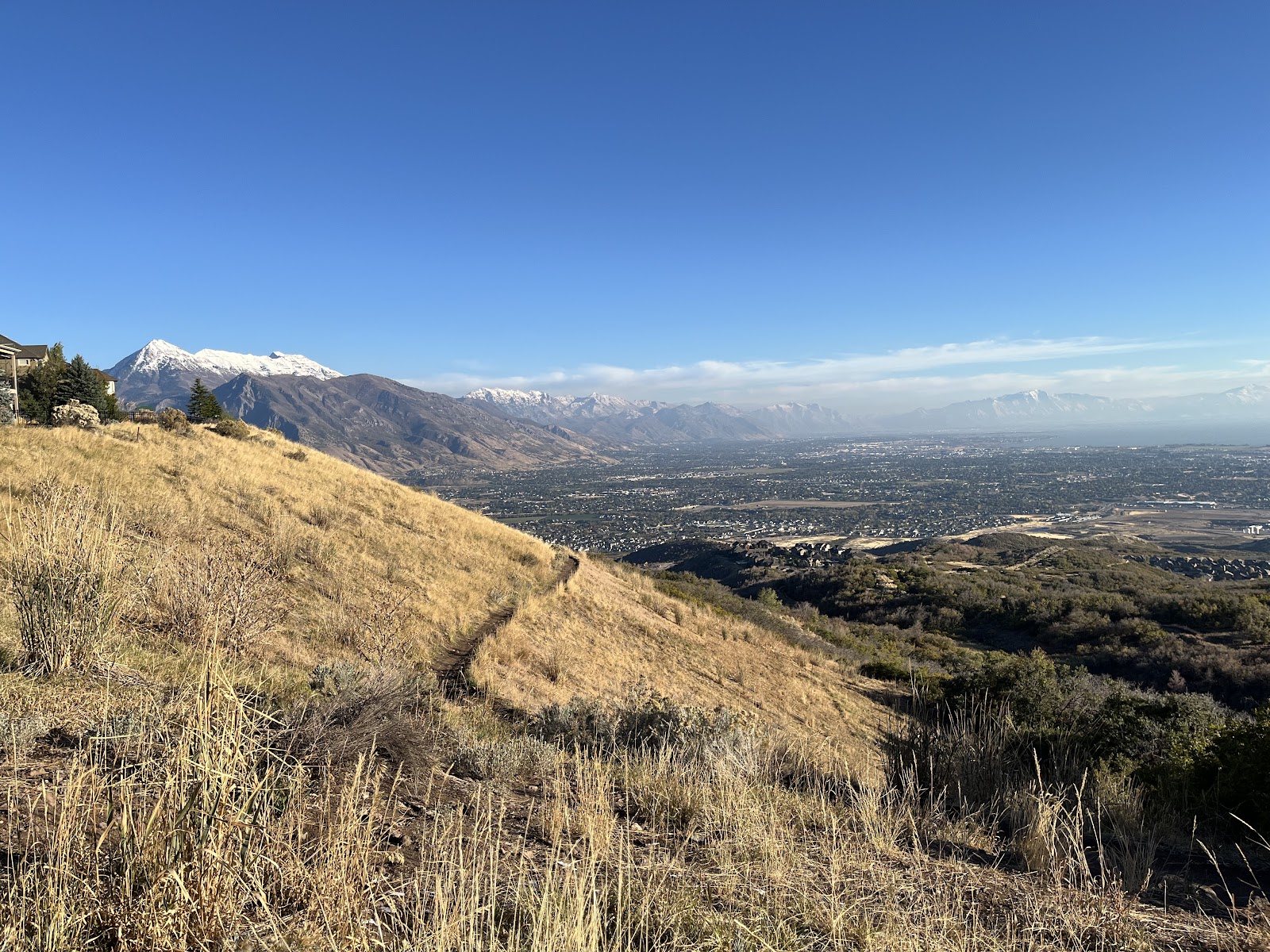 Suncrest Park, photo by Sean Rodrigues