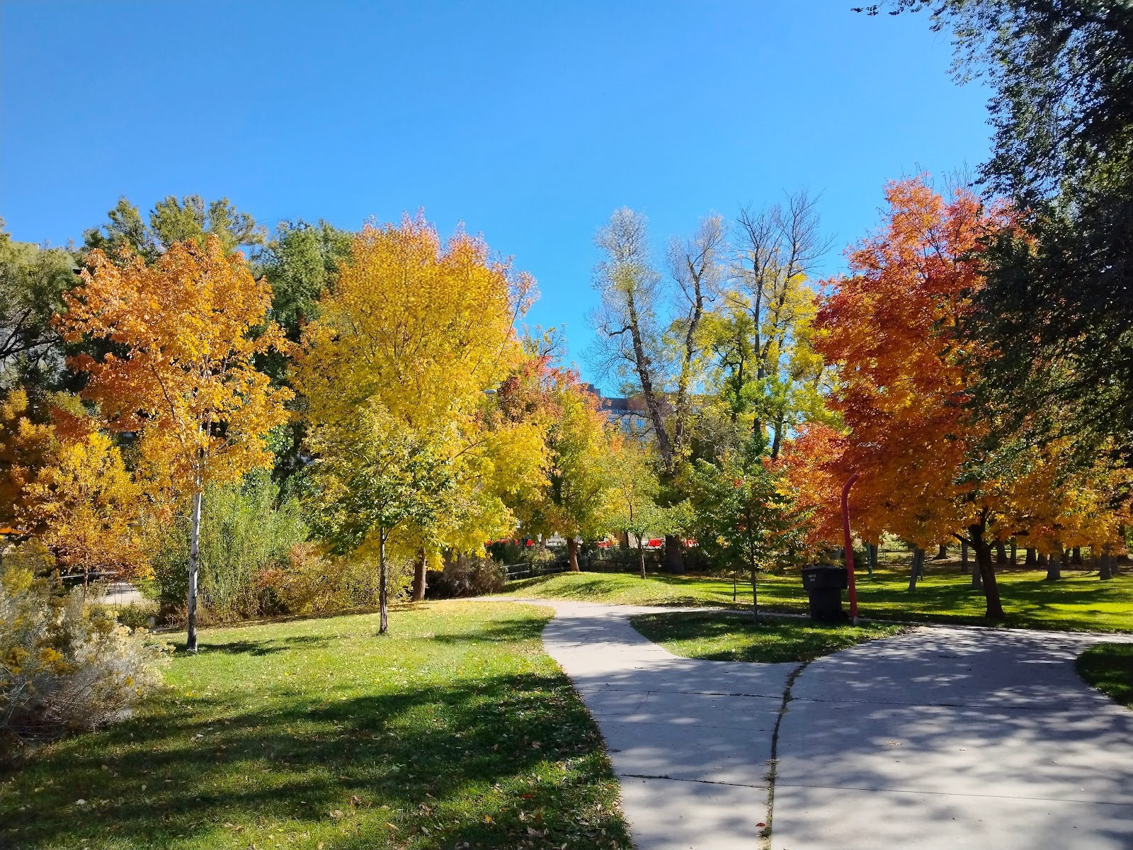 Fairmont Park, photo by Lata Pratap