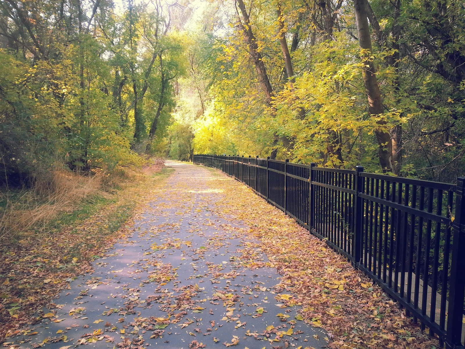 Mary & Art Dye Park, photo by Sharla Moyes
