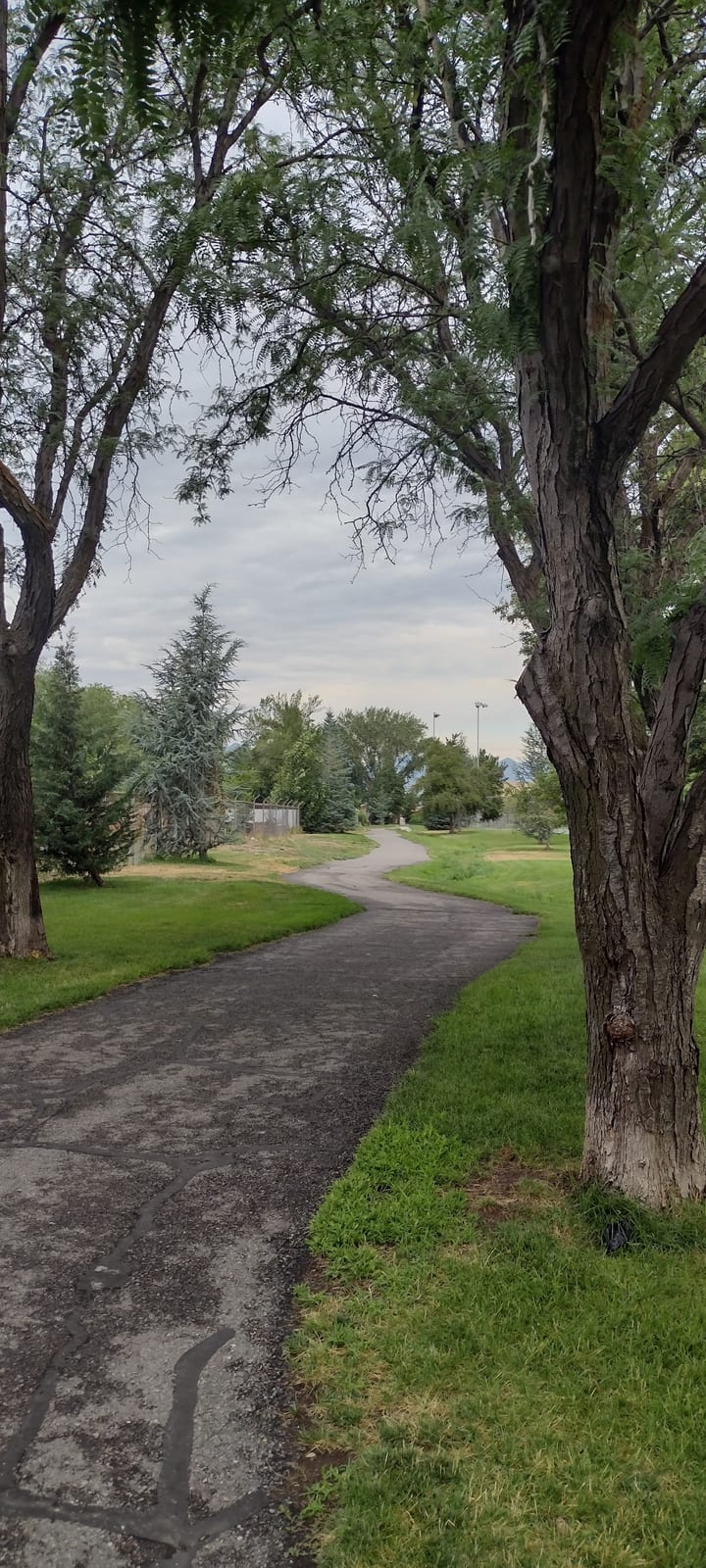 Bicentennial Park Pickleball Courts, photo by Julio Gutierréz E