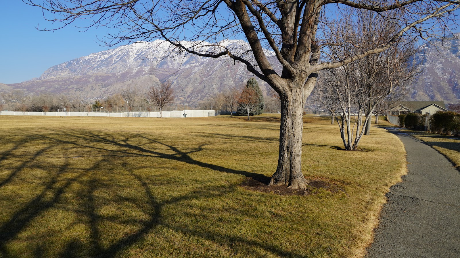 Carterville Park, photo by Rev. C McFarland