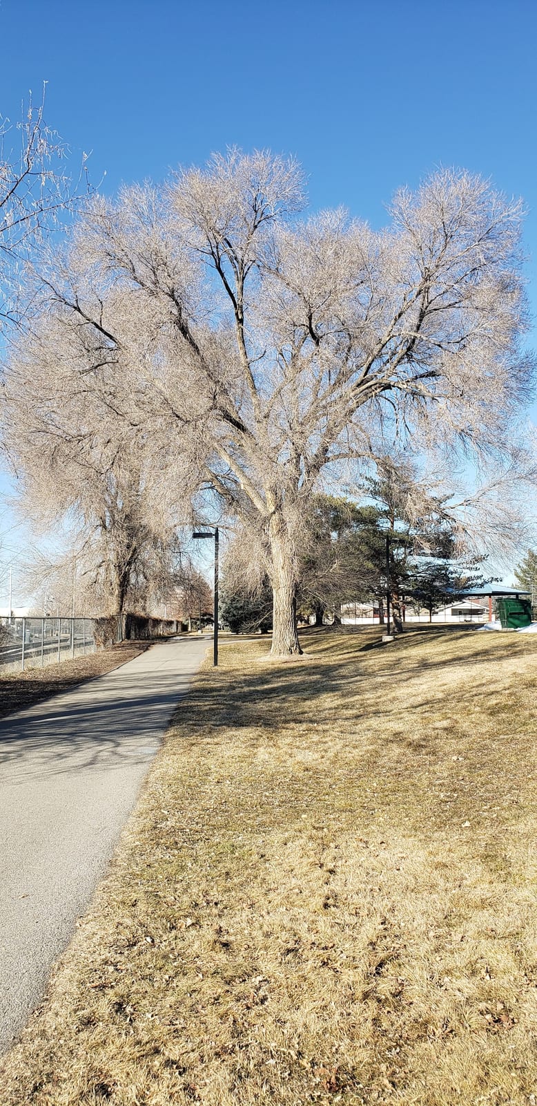 Dewey Bluth Park, photo by Marcus Cunha