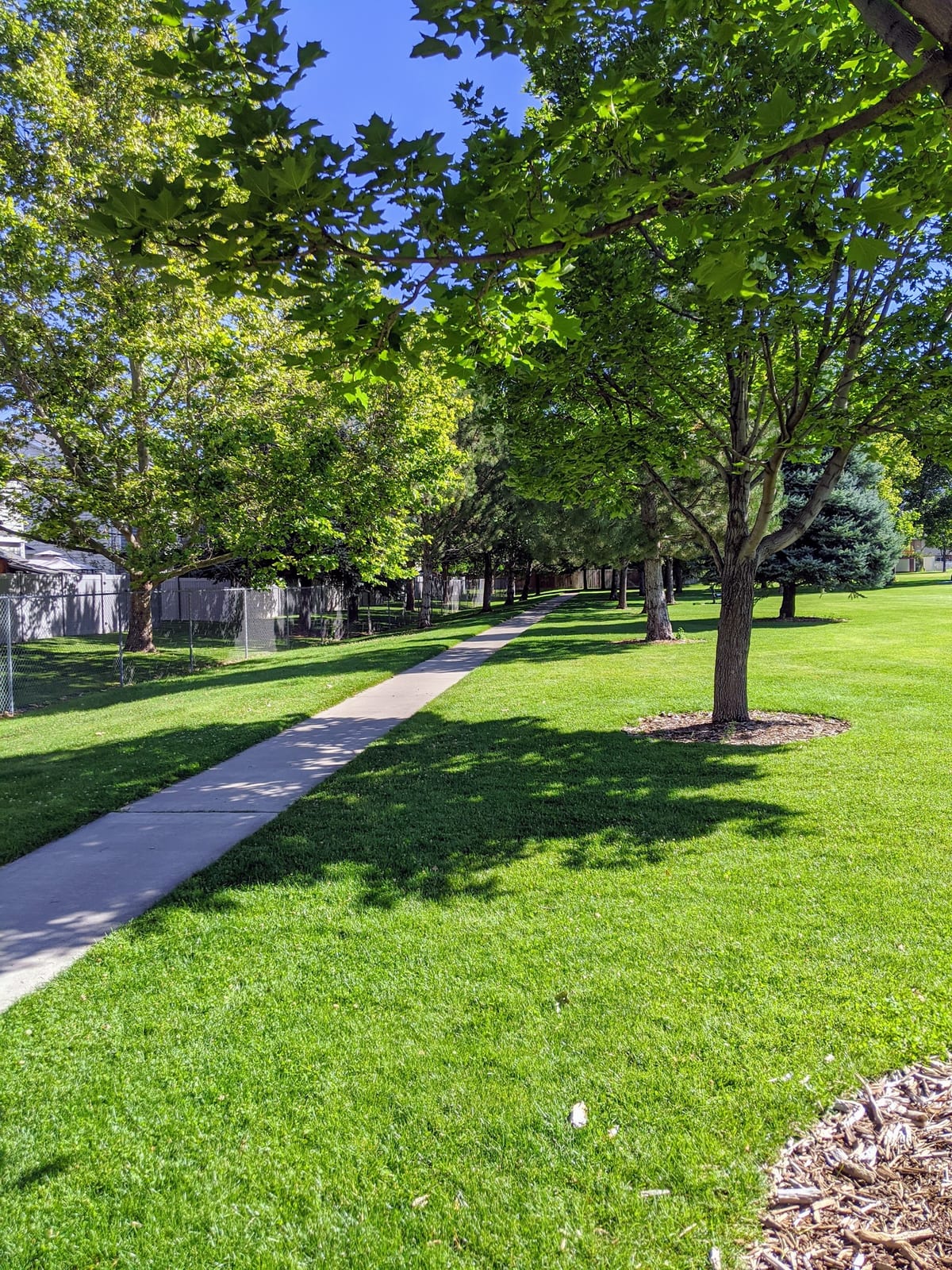 Hindley Park, photo by Edwin Solorzano