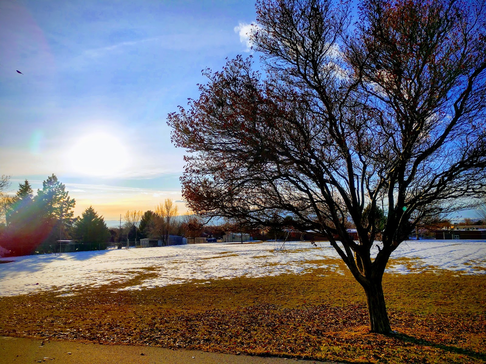 Northridge Park, photo by Jenna Storrer