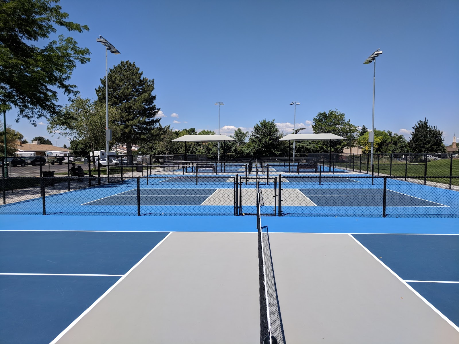Sharon Park, photo by Ky Coffey