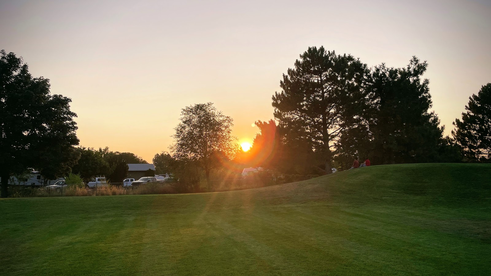 Sharon Park, photo by Dave Varney
