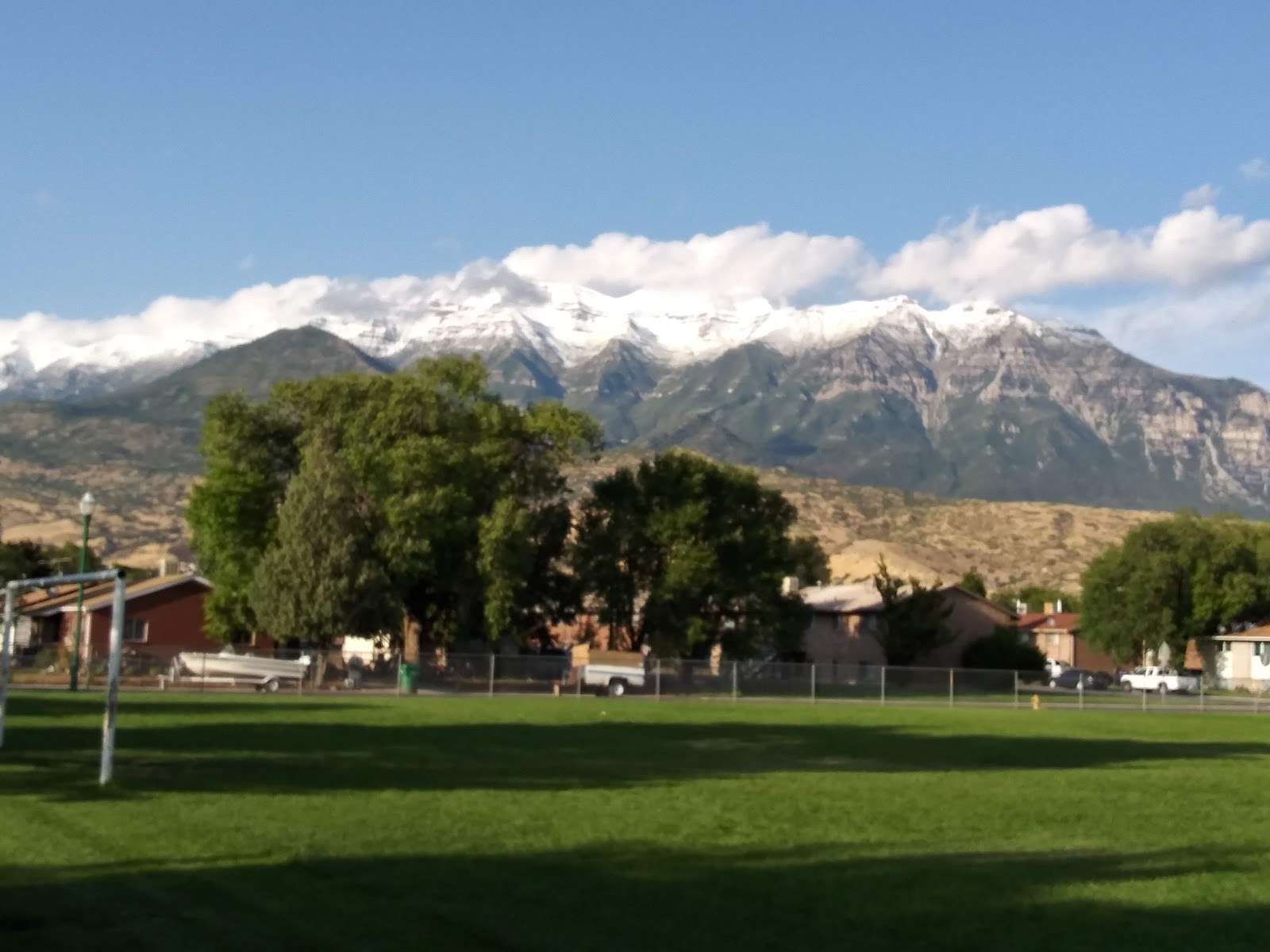 Sharon Park, photo by KIRK MCCLEERY